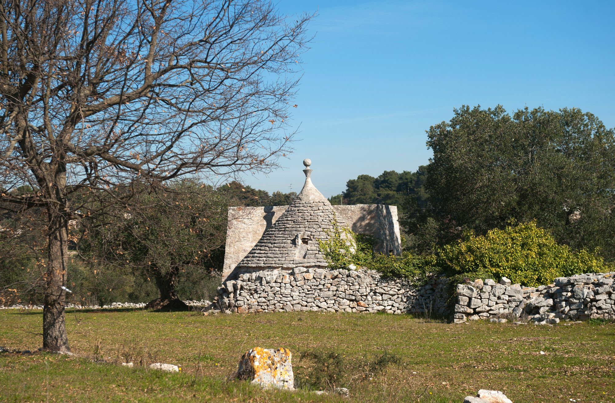 Agriturismo Masseria Calongo Cisternino Exteriör bild